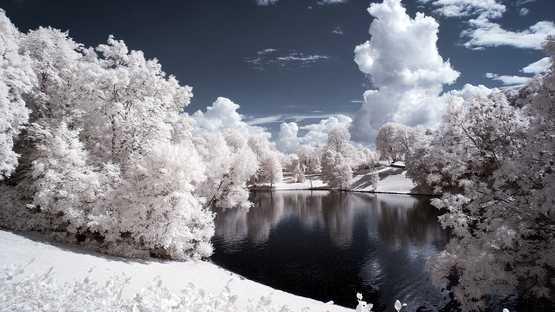 White Winter Landscape Wallpaper