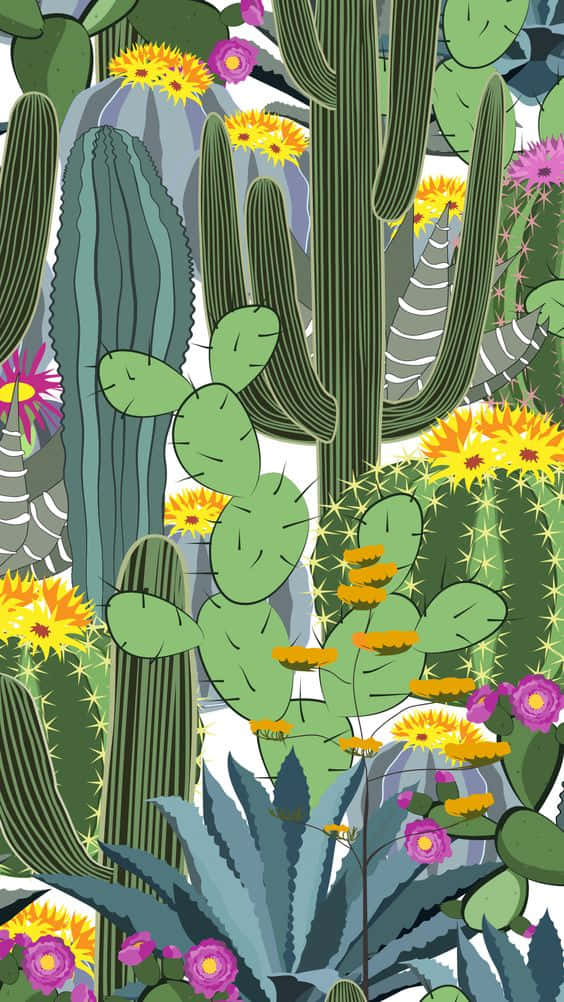Cactus Iphone Wallpaper