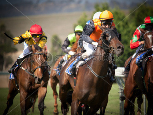 Horse Race Enjoy And Pictures For Your Puter
