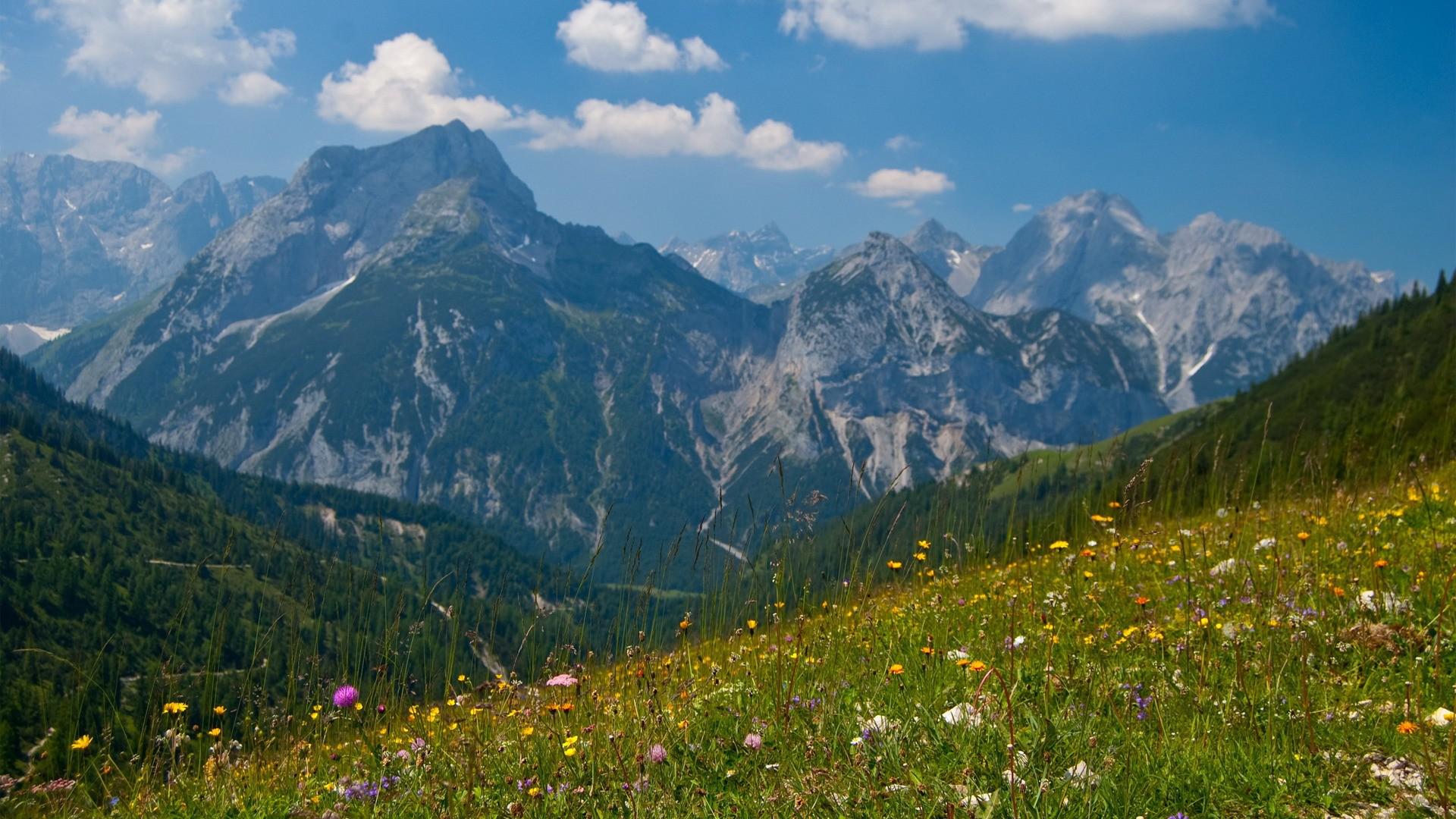 THE MIGHTY ALPS IN SPRING WALLPAPER   111387   HD Wallpapers