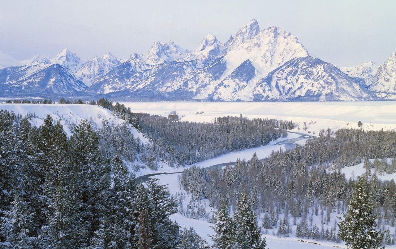 Winter Mountain Forest Wyoming wallpapers Winter Mountain Forest