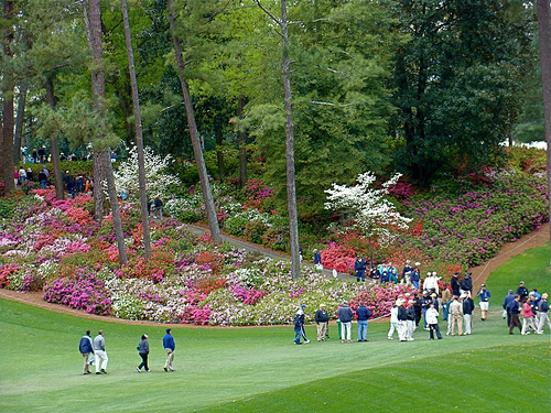 Augusta National Golf Course Photo Sharing