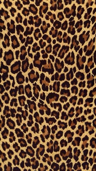 Cute Leopard Print Wallpaper Cooooool