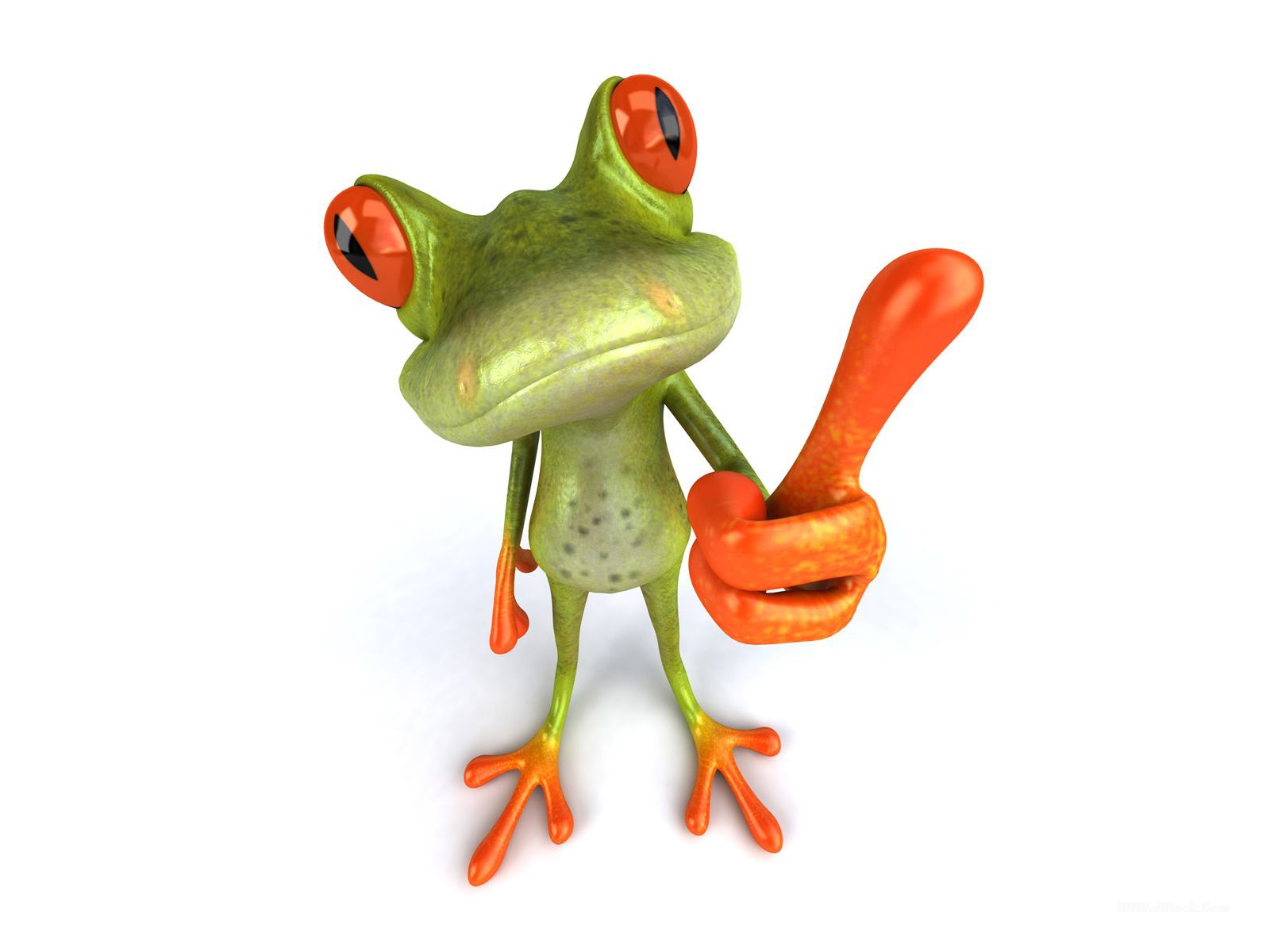 3D Funny Frog Animals Wallpapers HD Wallpapers HD