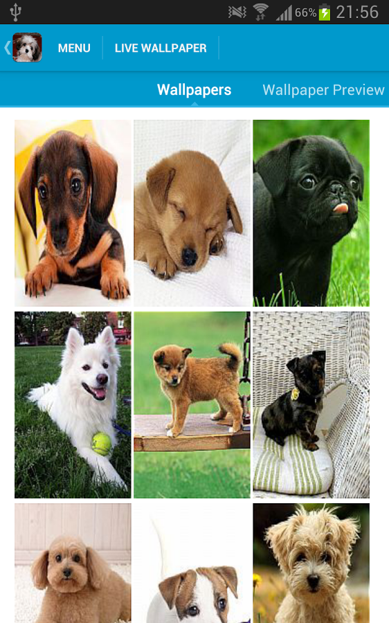 Cute Puppies Wallpaper Android Apps On Google Play