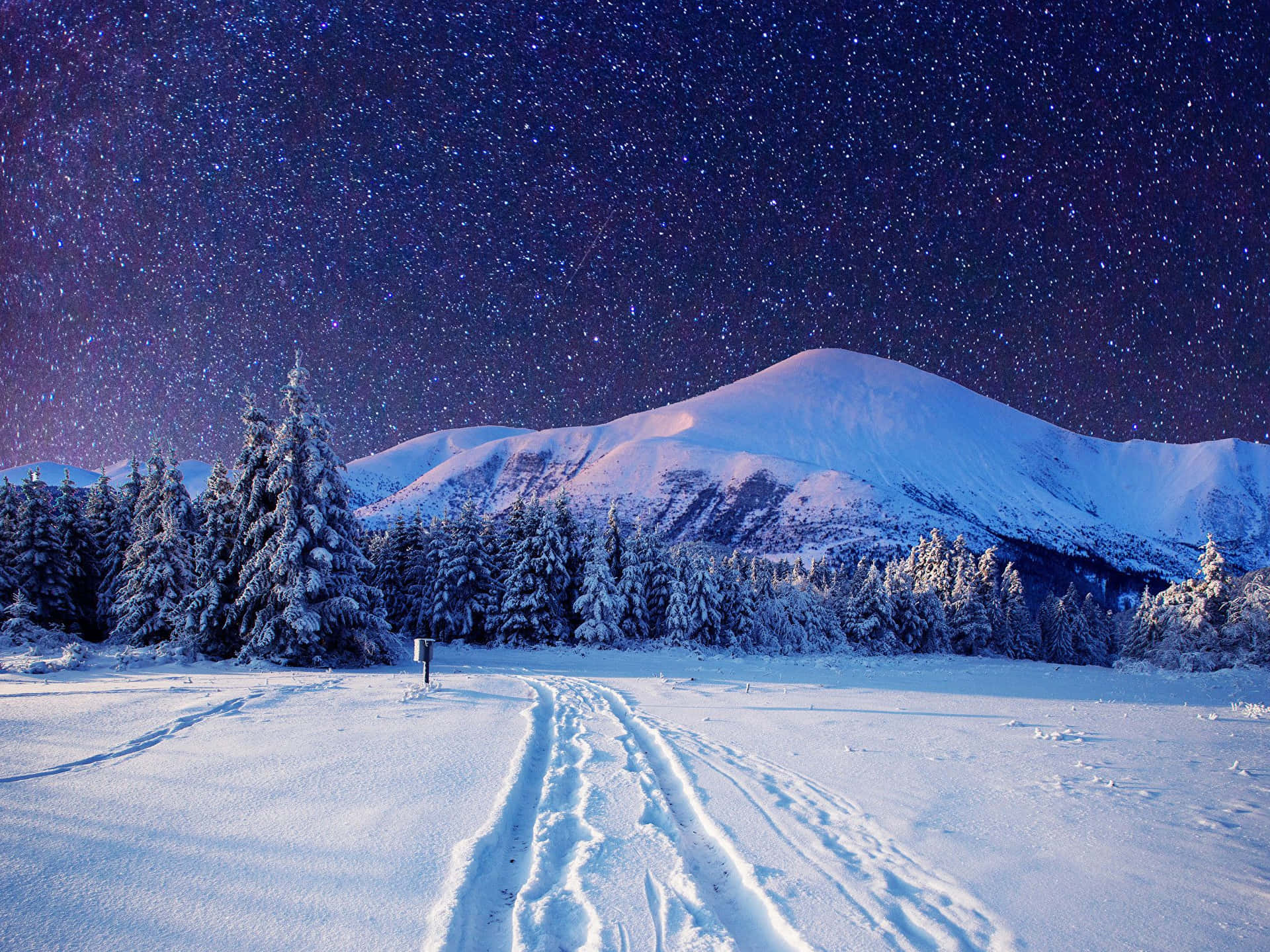 Winter Night Desktop Wallpaper