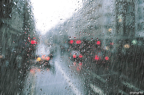 Rain Phone Wallpaper By Araceli9