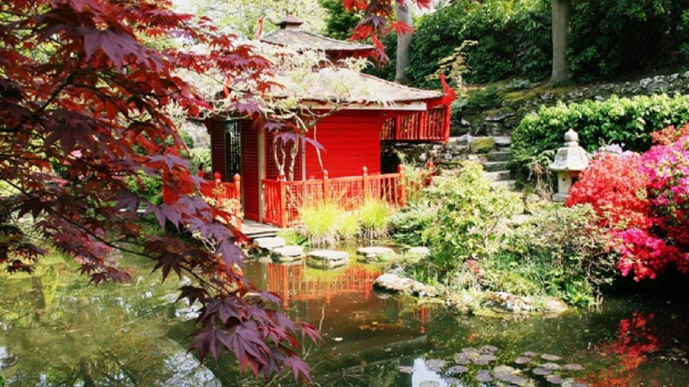tea house   101580   High Quality and Resolution Wallpapers 1366x768