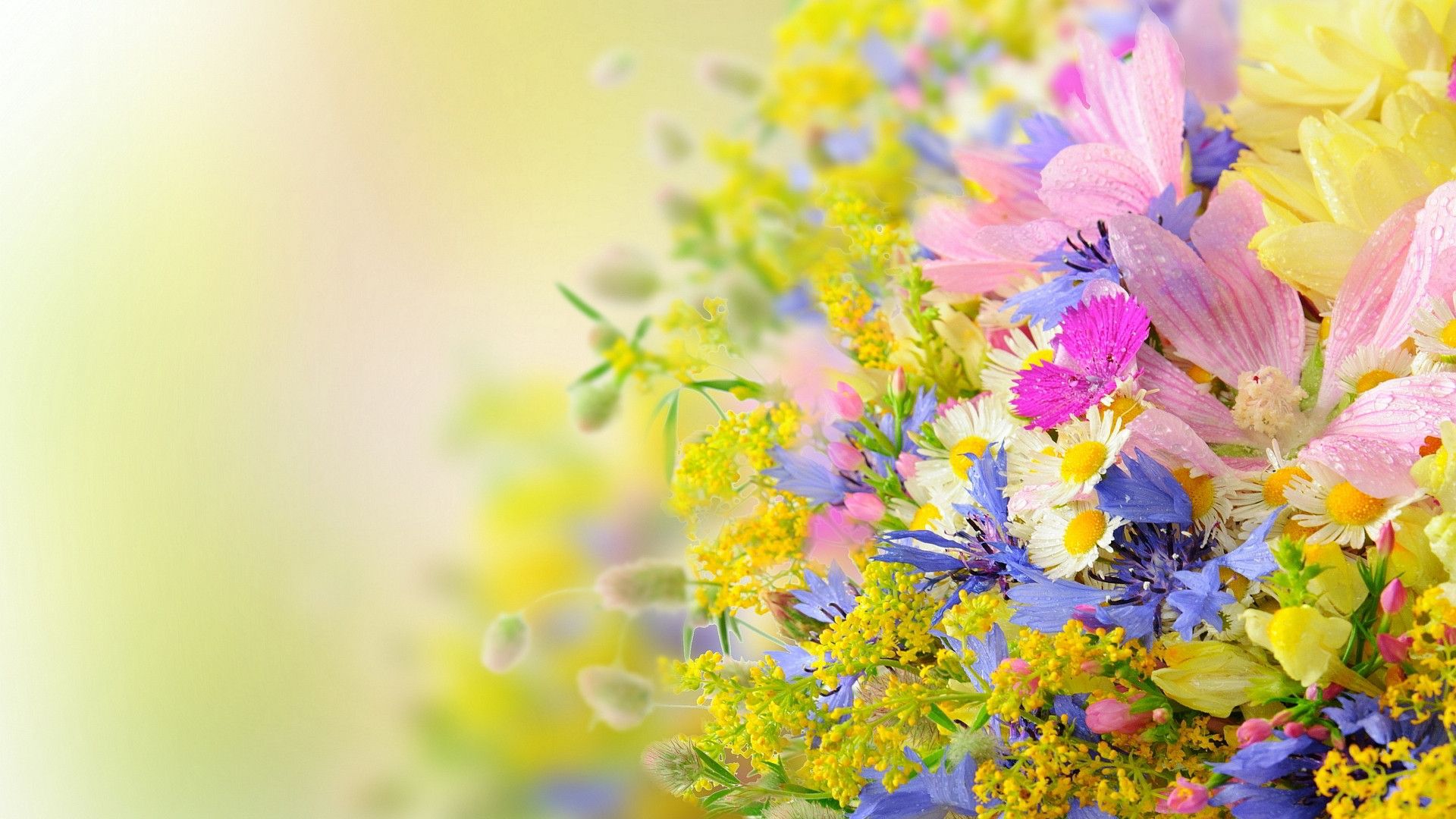 Free download summer flower wallpaper [1920x1080] for your Desktop, Mobile  & Tablet | Explore 71+ Summer Flowers Wallpaper | Summer Background, Summer  Backgrounds, Flowers Background