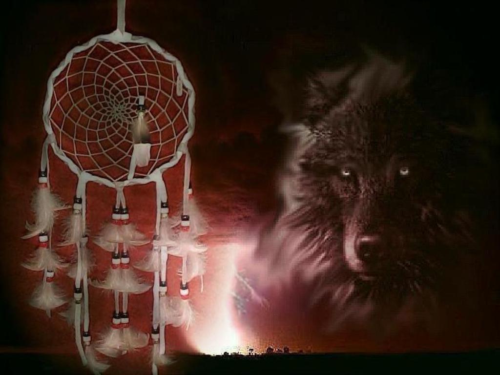 dreamcatcher wolf Medicine Spiritual Networks   Meet New People