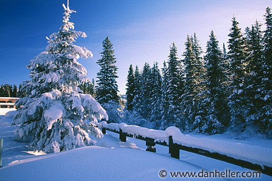 Beautiful Snowfall Real HD Desktop Wallpaper In