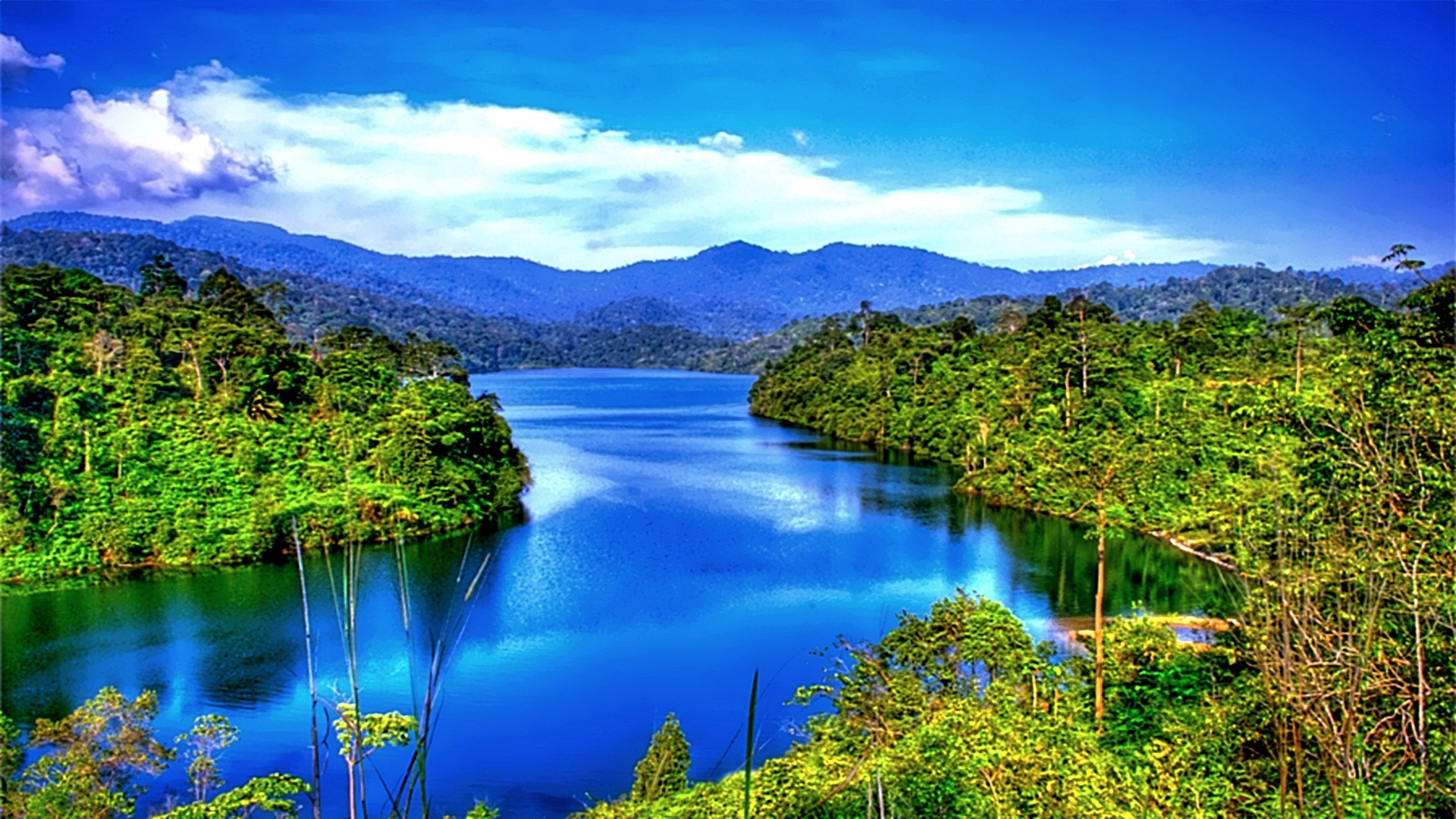 A breathtaking view of a vibrant blue lake nestled amidst lush green rainforest and rolling mountains, captured in stunning HD quality