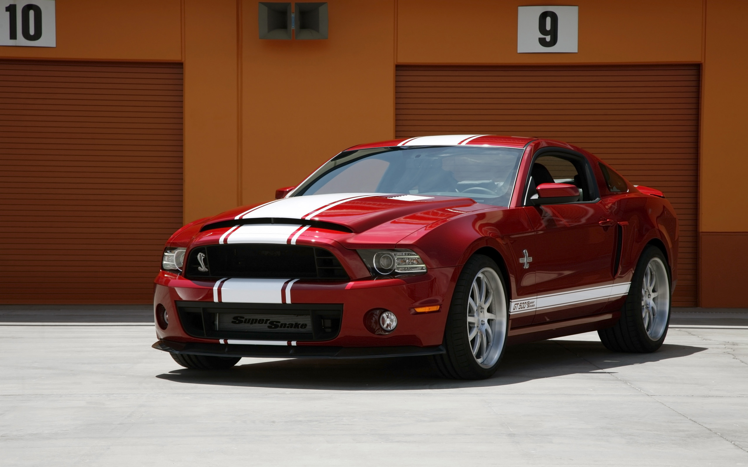 Shelby Gt500 Super Snake Wallpaper HD Car