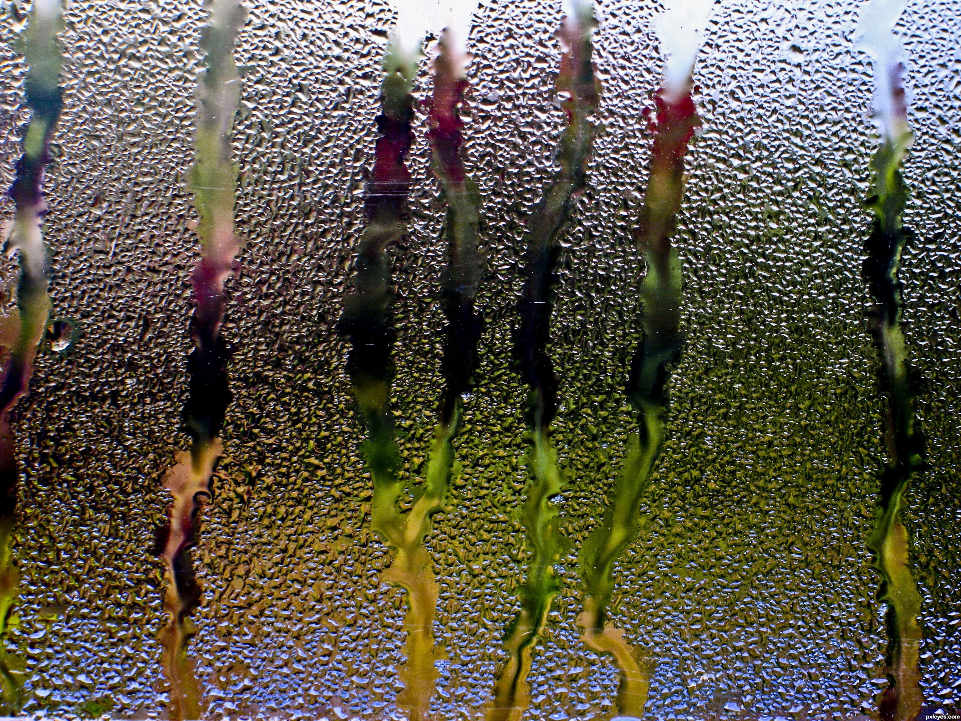 Rain Glass Window Water Drops Streams Wallpaper Macro