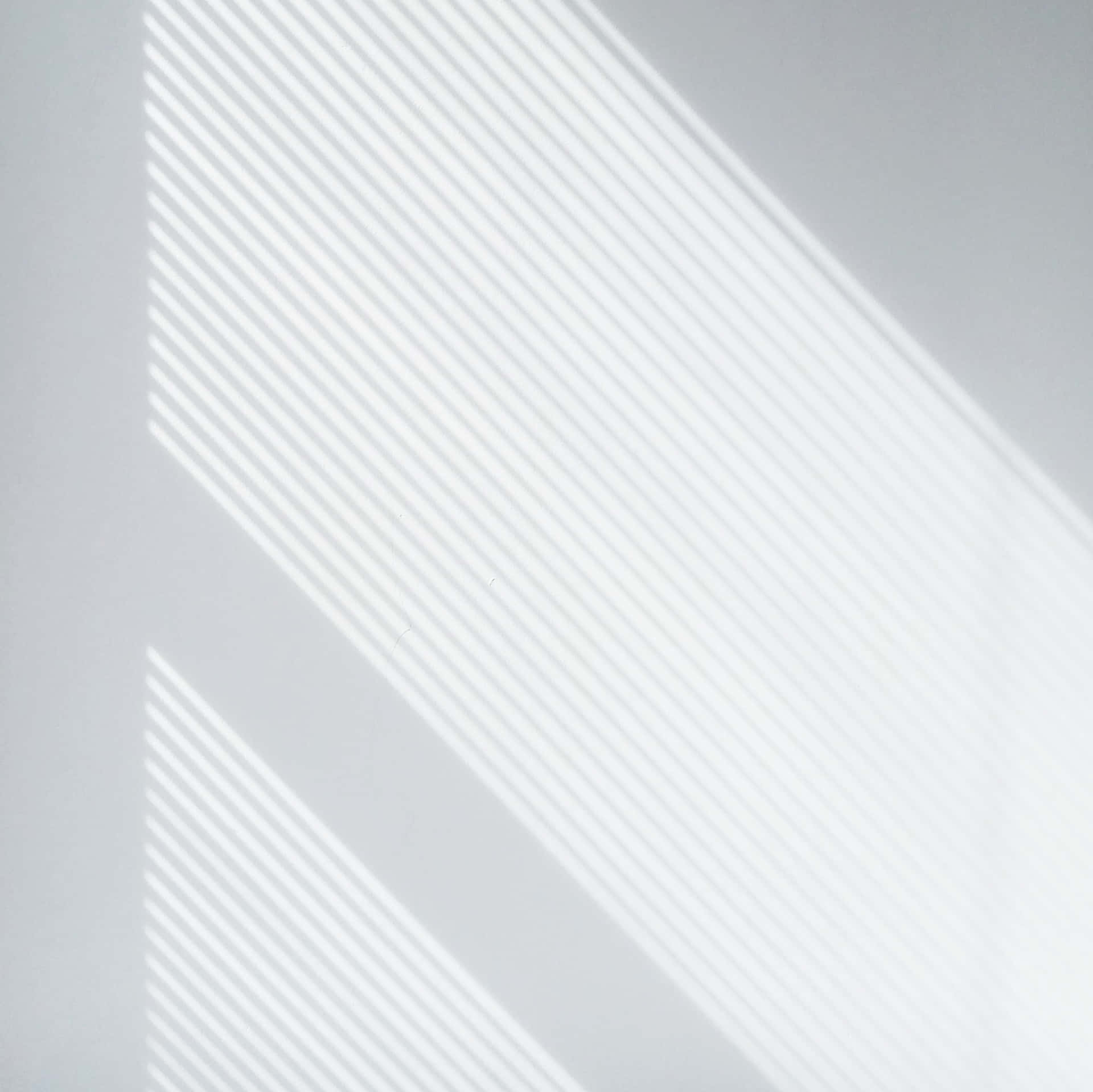White Color Background Wallpaper