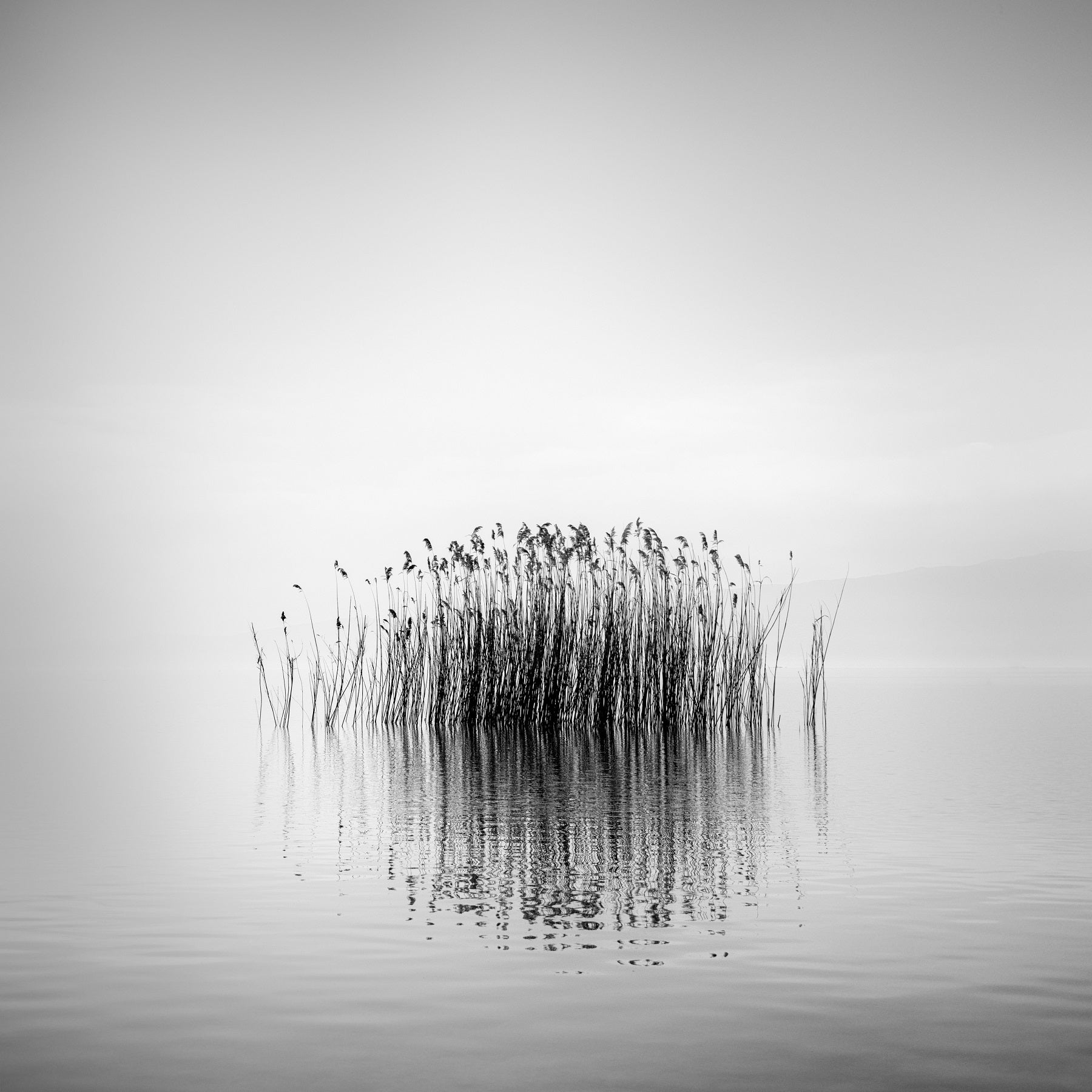B W Photo Award Winners Celebrate Mastery In Monochrome Wallpaper