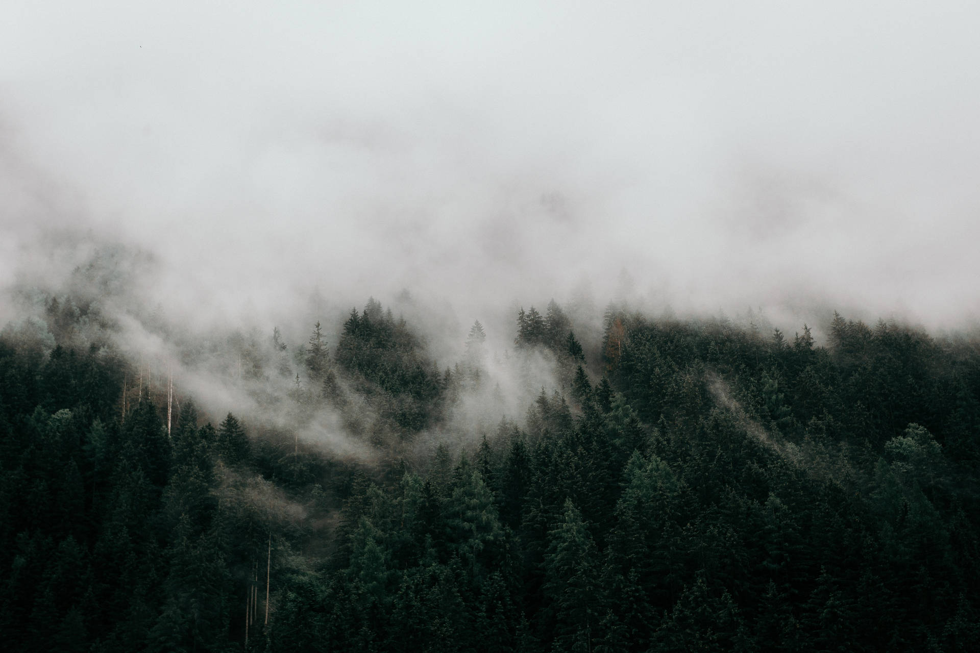Top 4k HD Laptop Wallpaper Full To Use