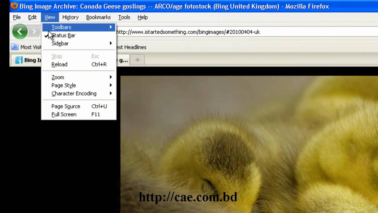Save Bing S Background Image As Desktop Wallpaper
