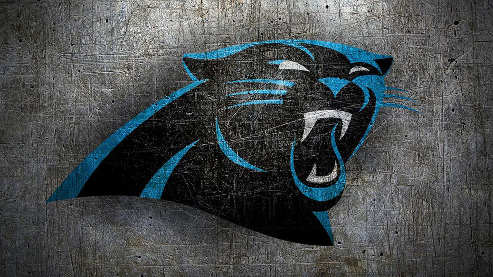 Carolina Panthers Wallpaper Image Photos Picture