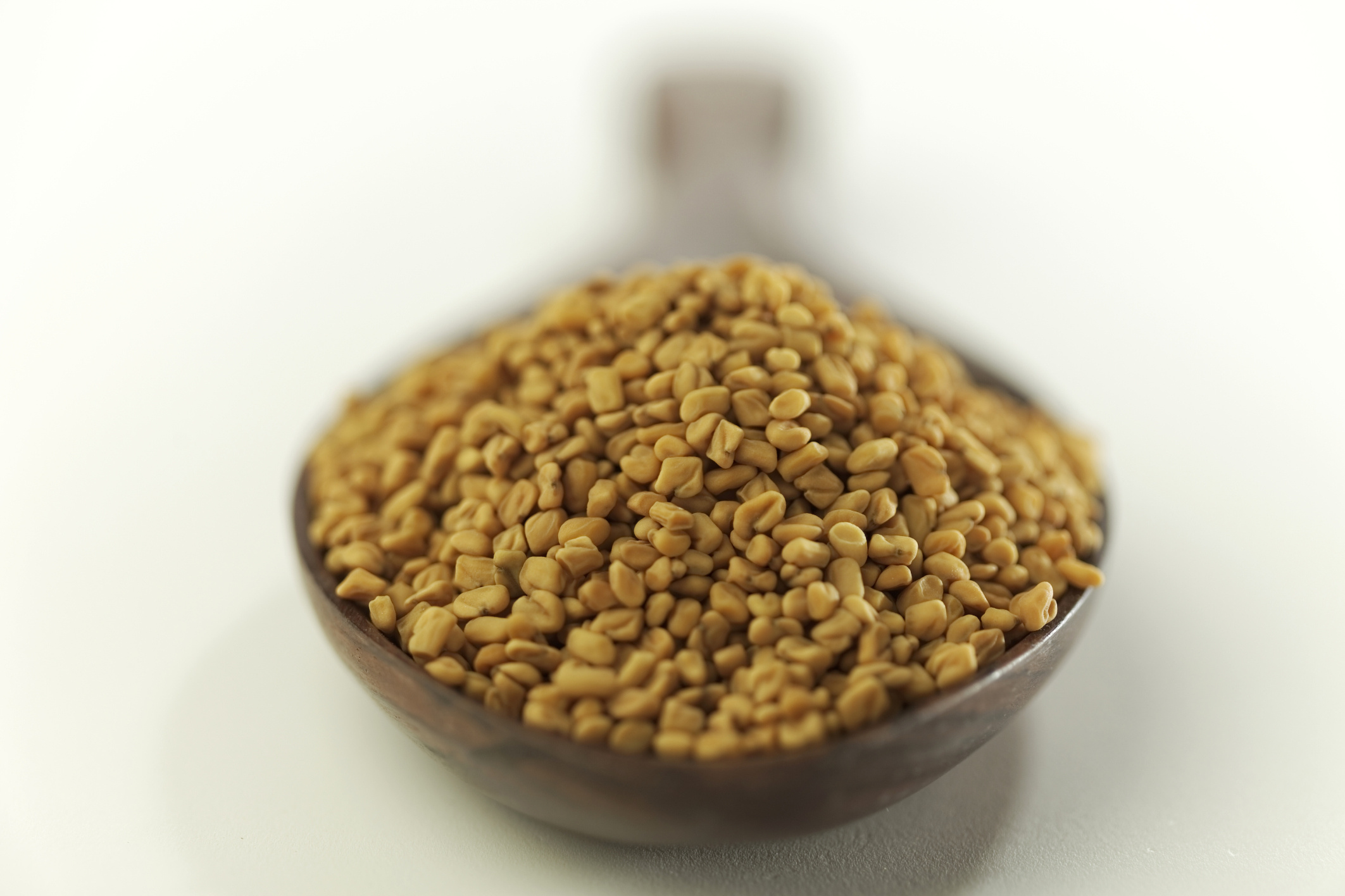 Fenugreek Wallpaper