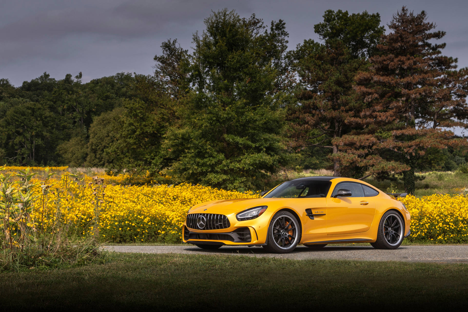 Top Amg Gt R Wallpaper Full HD 4k To Use