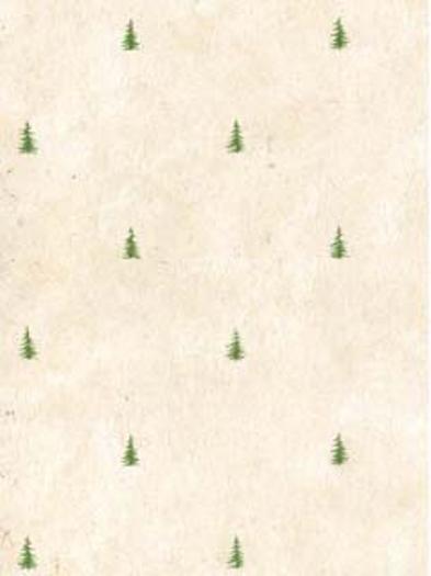 Pine Tree Wallpaper   Wallpaper Border Wallpaper inccom