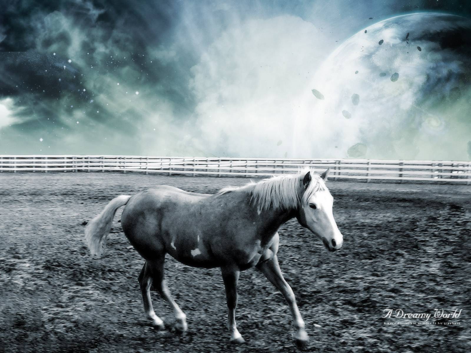 Horse Originals Horses Animals Pictures Desktop Wallpaper