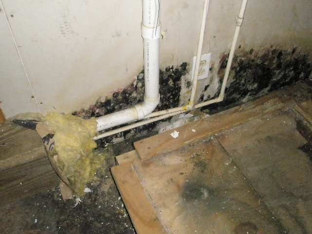 Bad Mold Mildew Problem Under Kitchen Sink Cabi Peoria Illinois