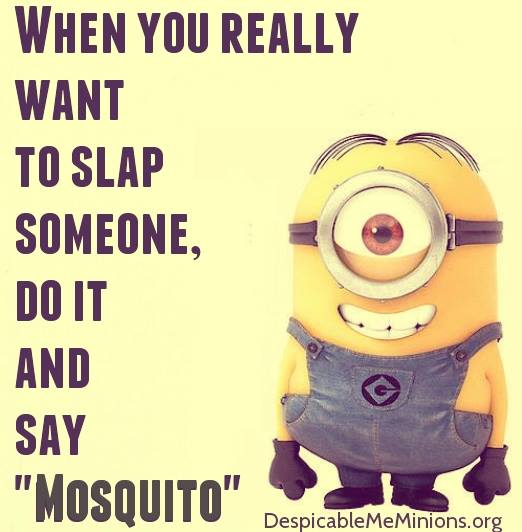Minions Quotes Funny Minion And Despicable Me