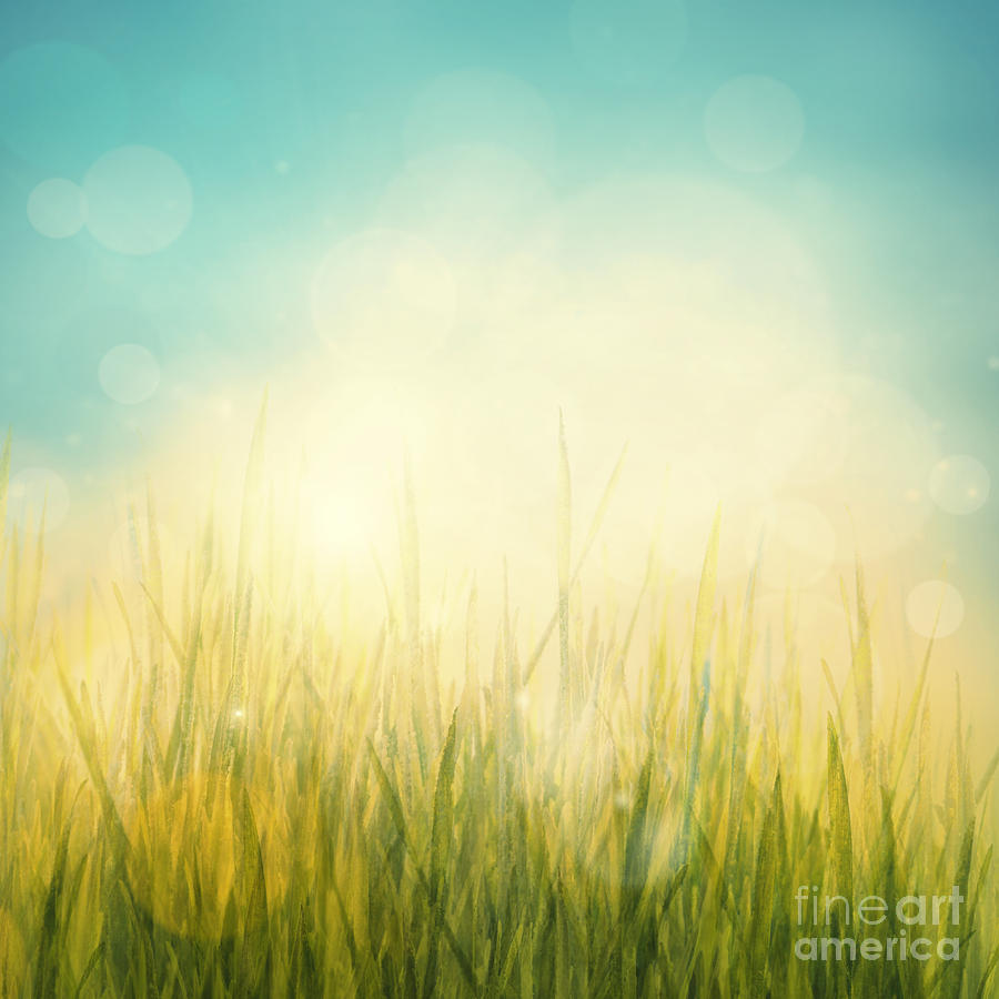 Spring Or Summer Abstract Season Nature Background By Mythja