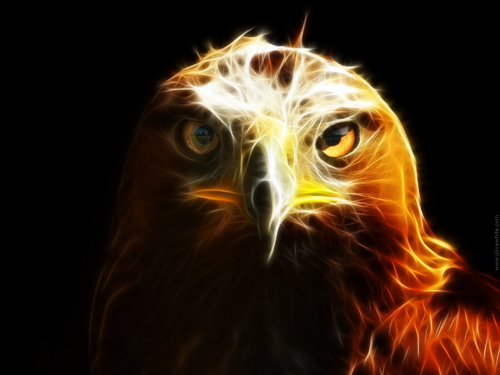 697 Gold Fire Eagle Images Stock Photos  Vectors  Shutterstock