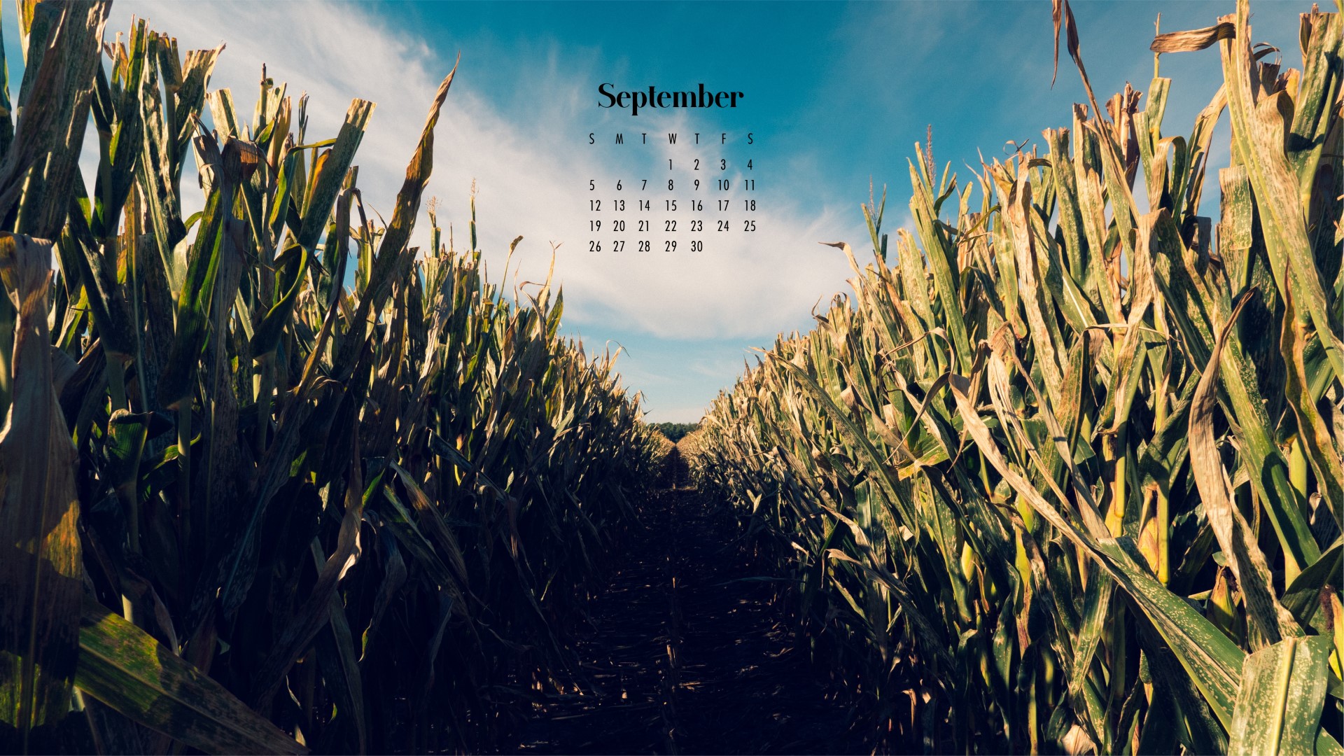 September Calendar Wallpaper   38 Best Desktop Phone Backgrounds