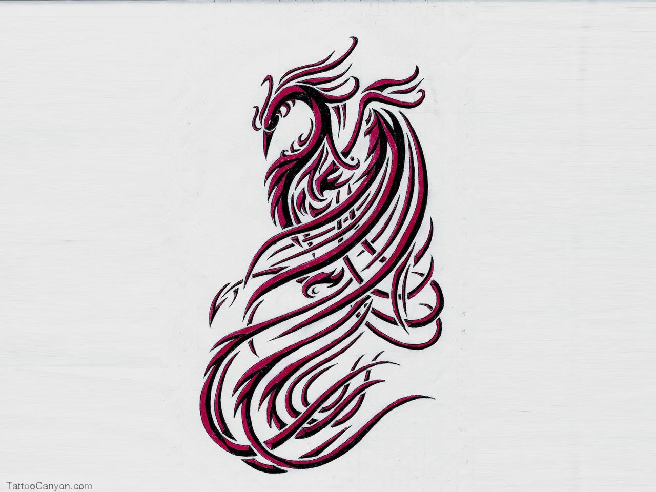  Free Designs Shrunked Phoenix Bird Tattoo Wallpaper Picture 3073