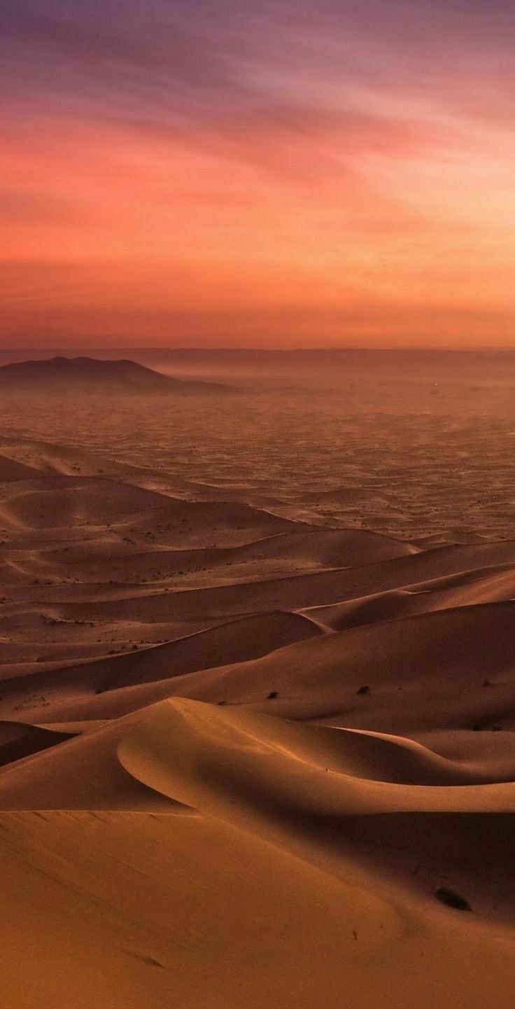 Elena White On Desert Wallpaper