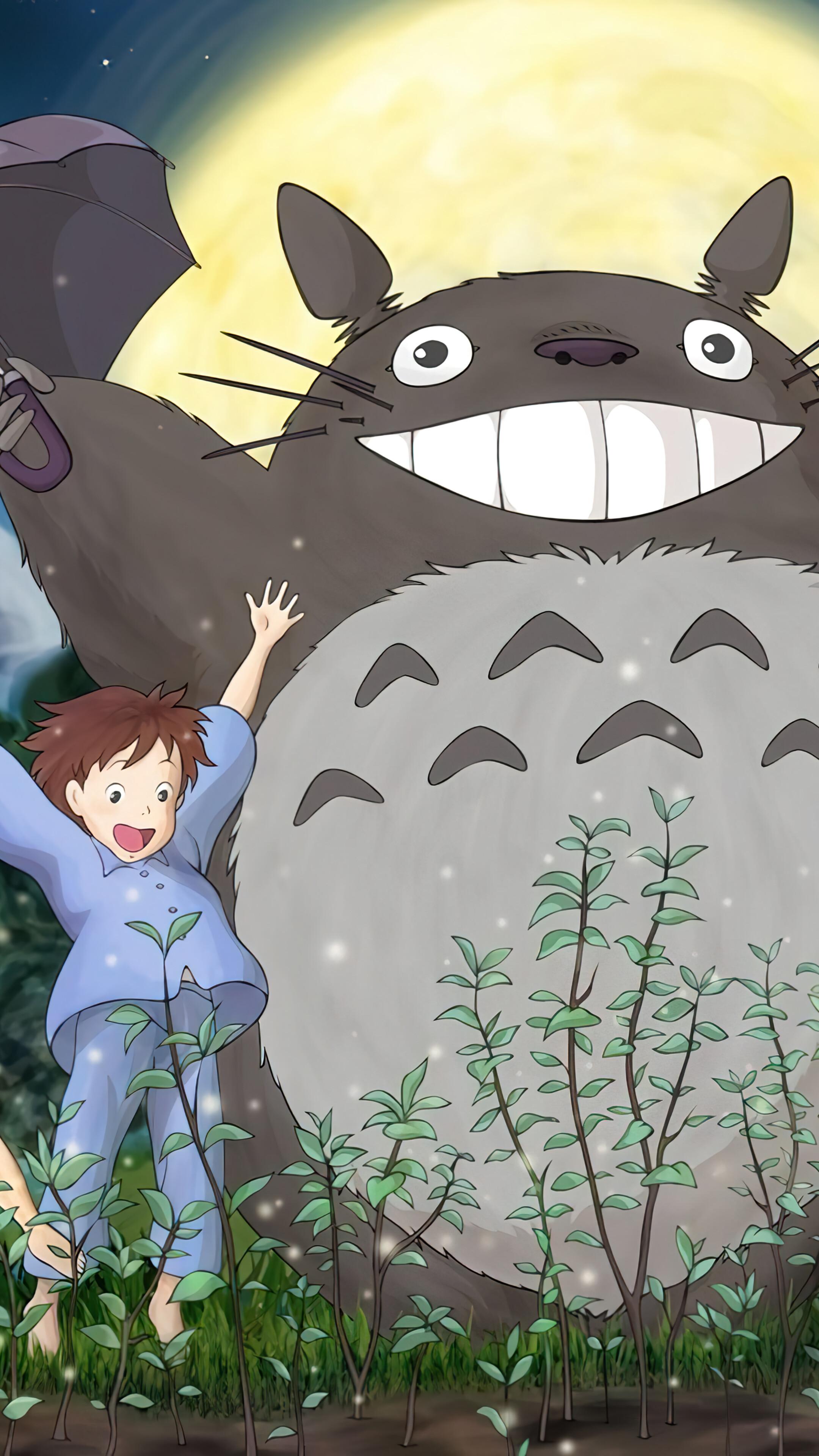 My Neighbor Totoro Characters Anime 4K Wallpaper iPhone HD Phone