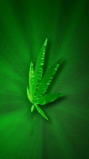 Mary Jane Live Wallpaper Nature S Green Gift Shines In All It Glory