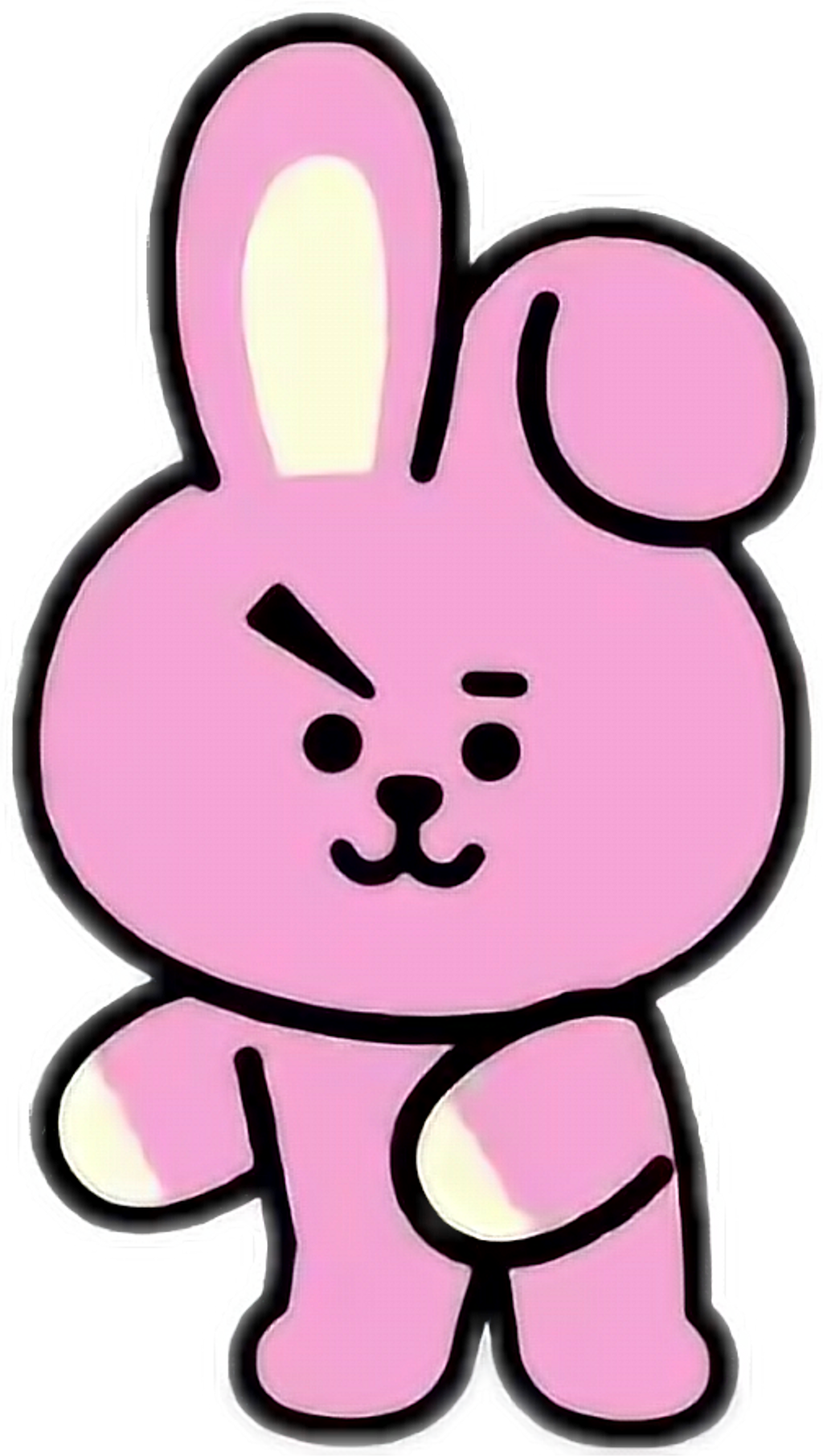 Cooky Bt21 Wallpaper