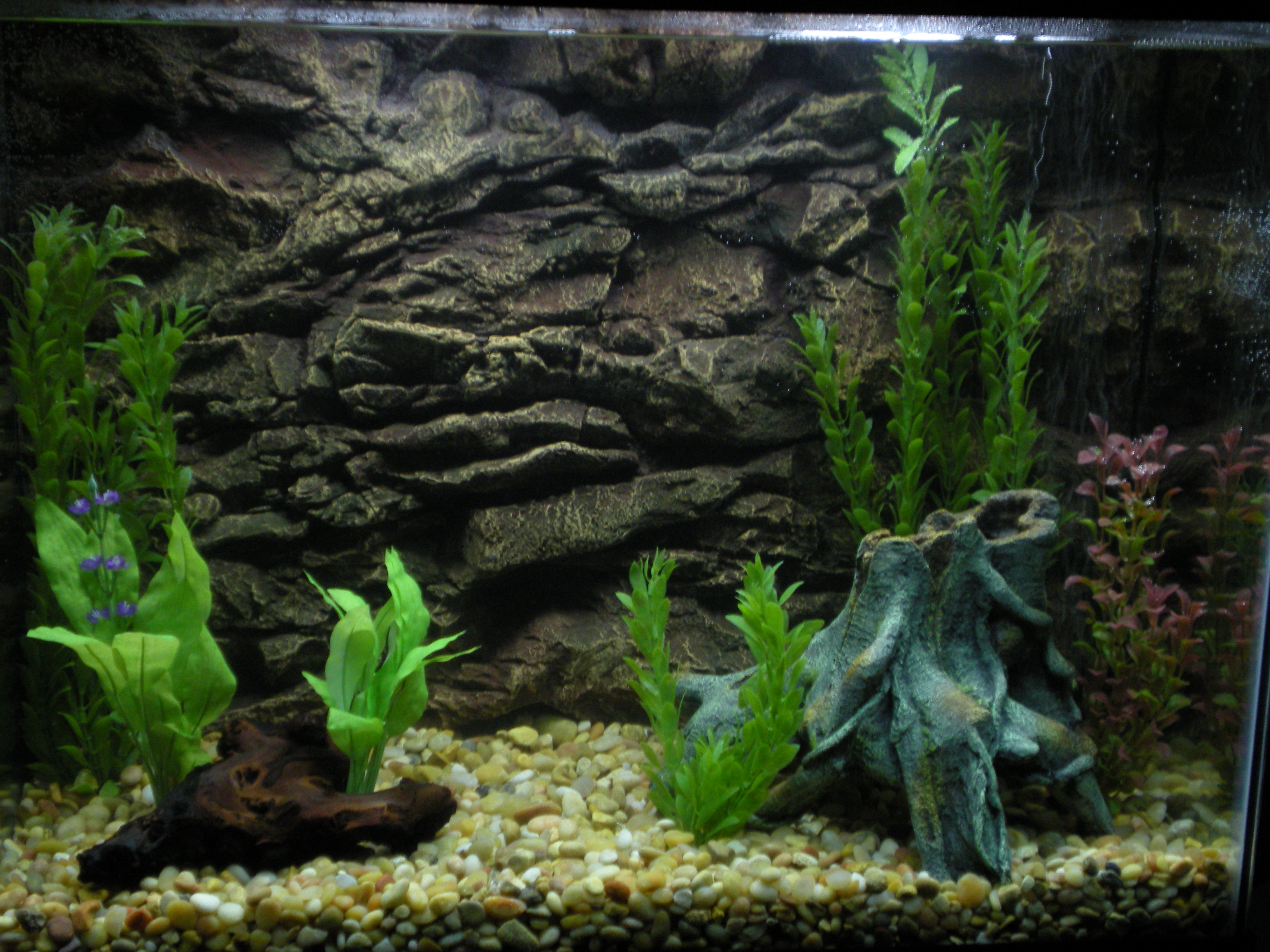 modern fish tank background