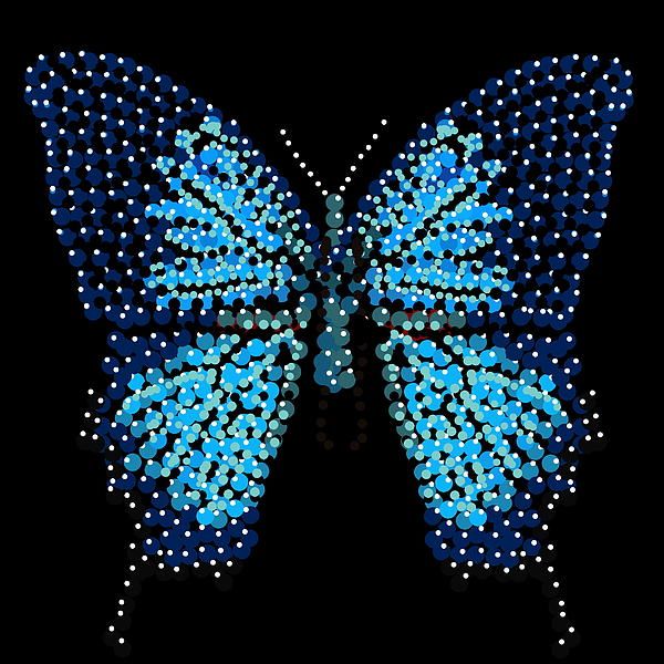 Blue Butterfly Black Background Print By R Allen Swezey