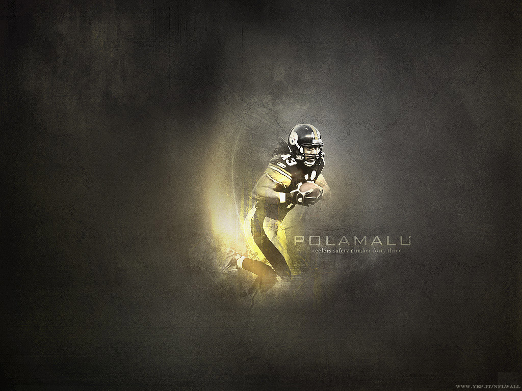 Polamalu Troy Pittsburgh Steelers wallpaper