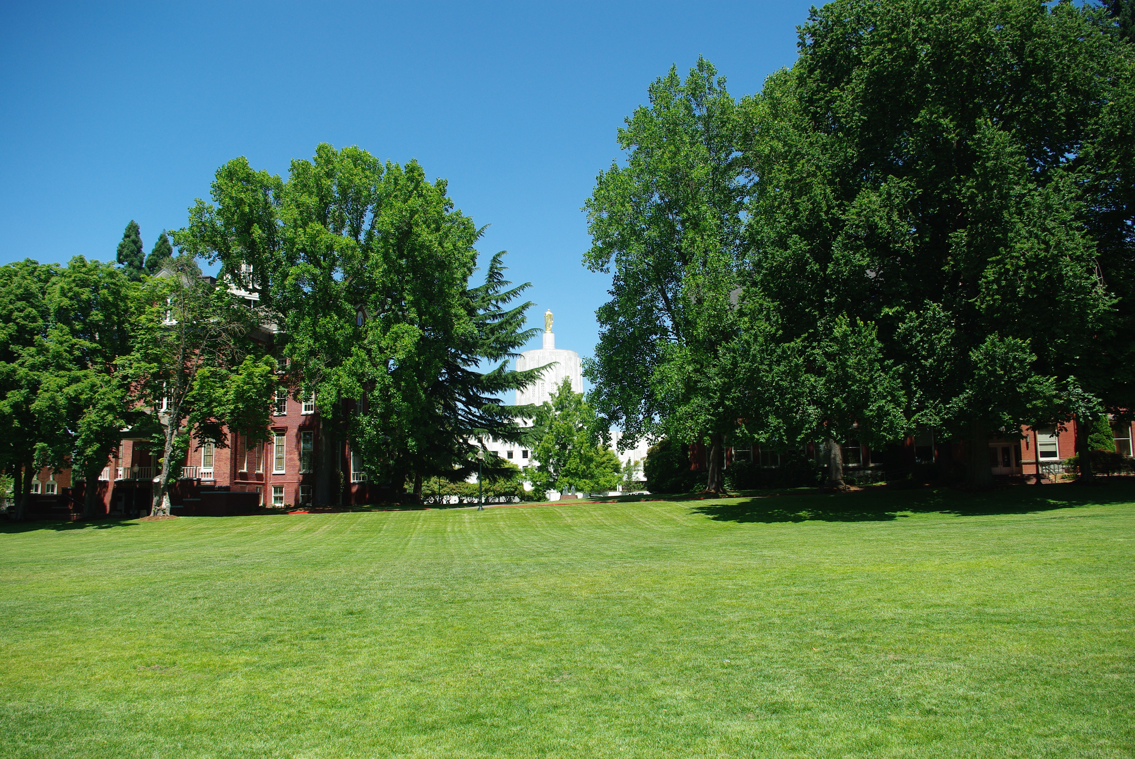 Willamette University With Capitol In Background Salem Oregon Jpg
