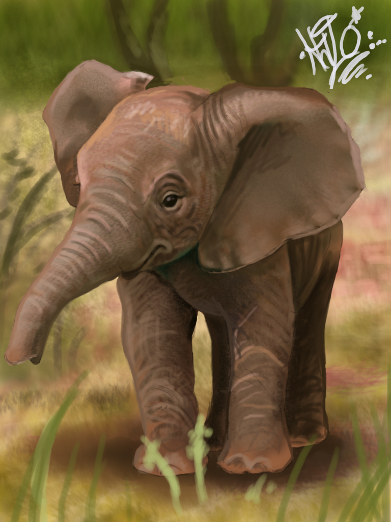 Baby Elephant Speed Painting By Tattoosbyhalo