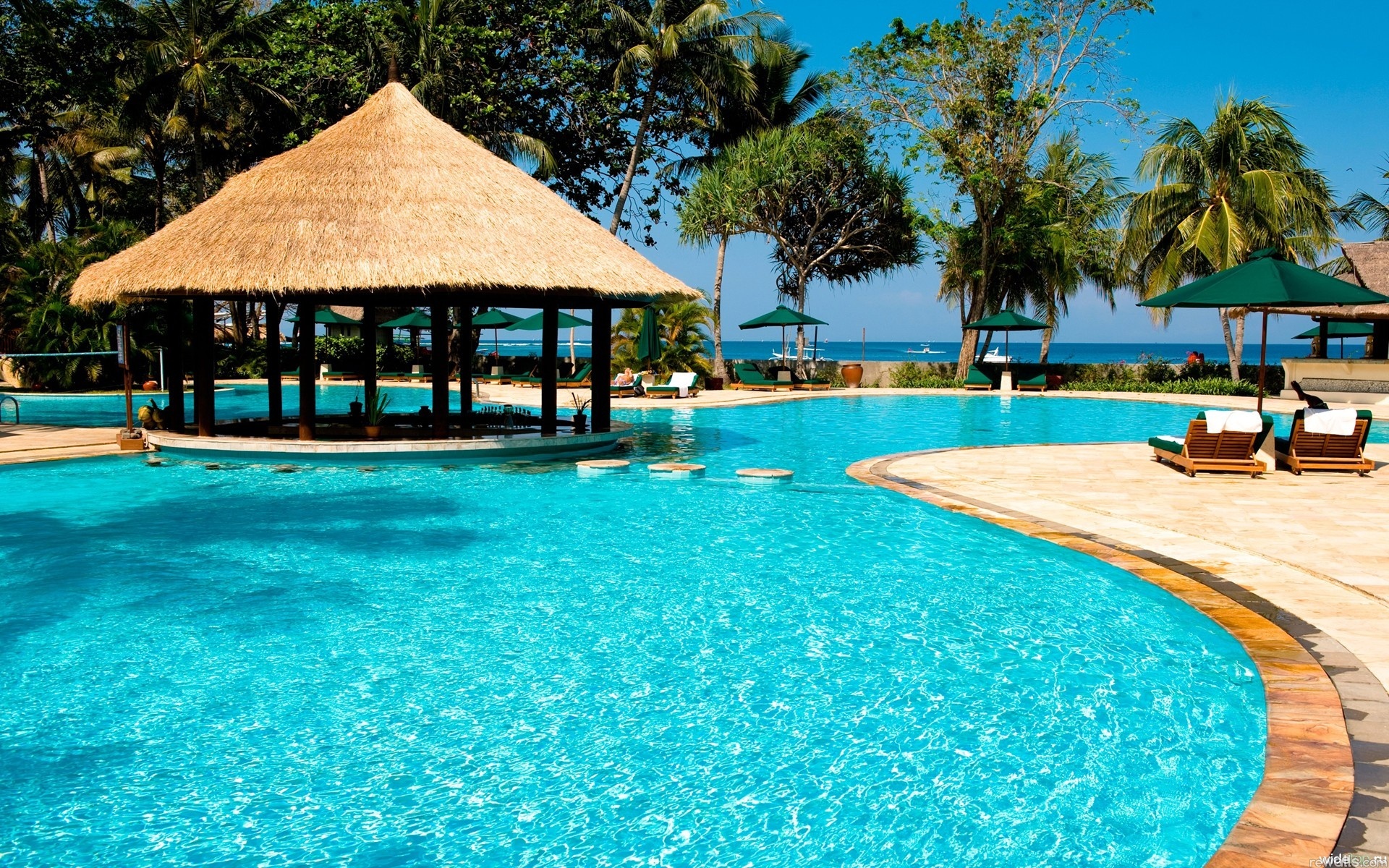 Swimming Girl Vacation Pool Water Palm Trees HD Desktop