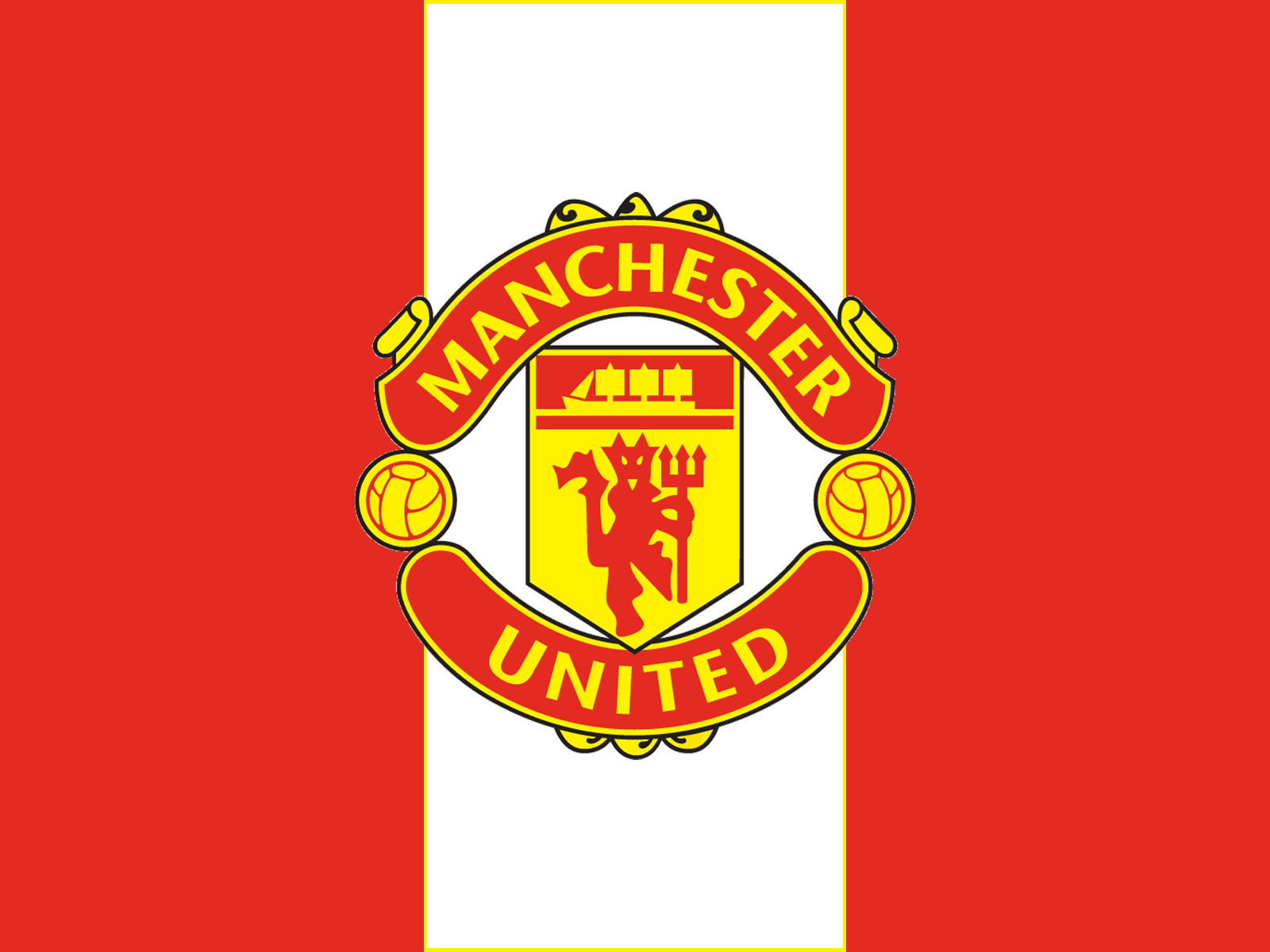 Manchester United Flag Logo Lion