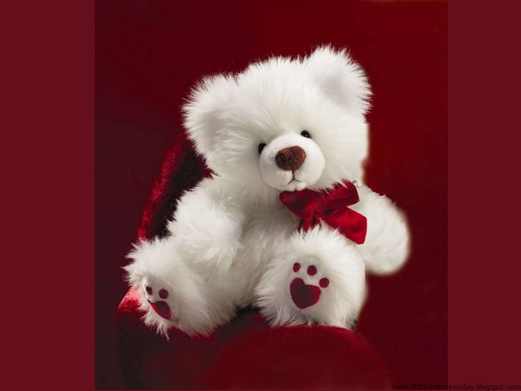 Cute Lovely White Teddybear HD Wallpaper