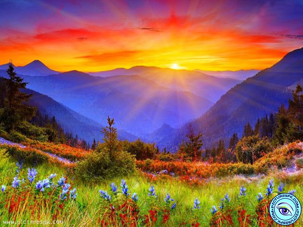 Beautiful Sunset Scenery Picture Wallpaper In Resolution