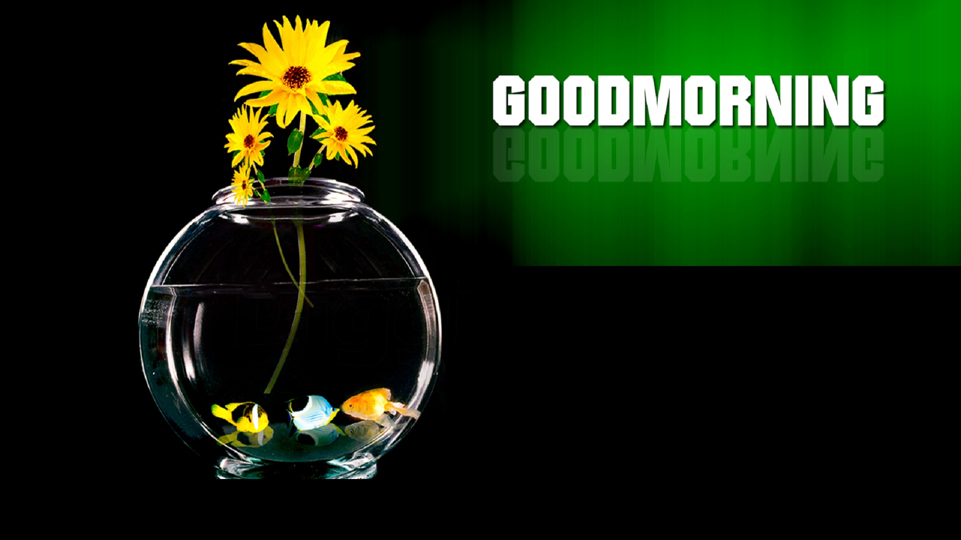 Good Morning Care With Love Happiness HD Wallpaper Rocks