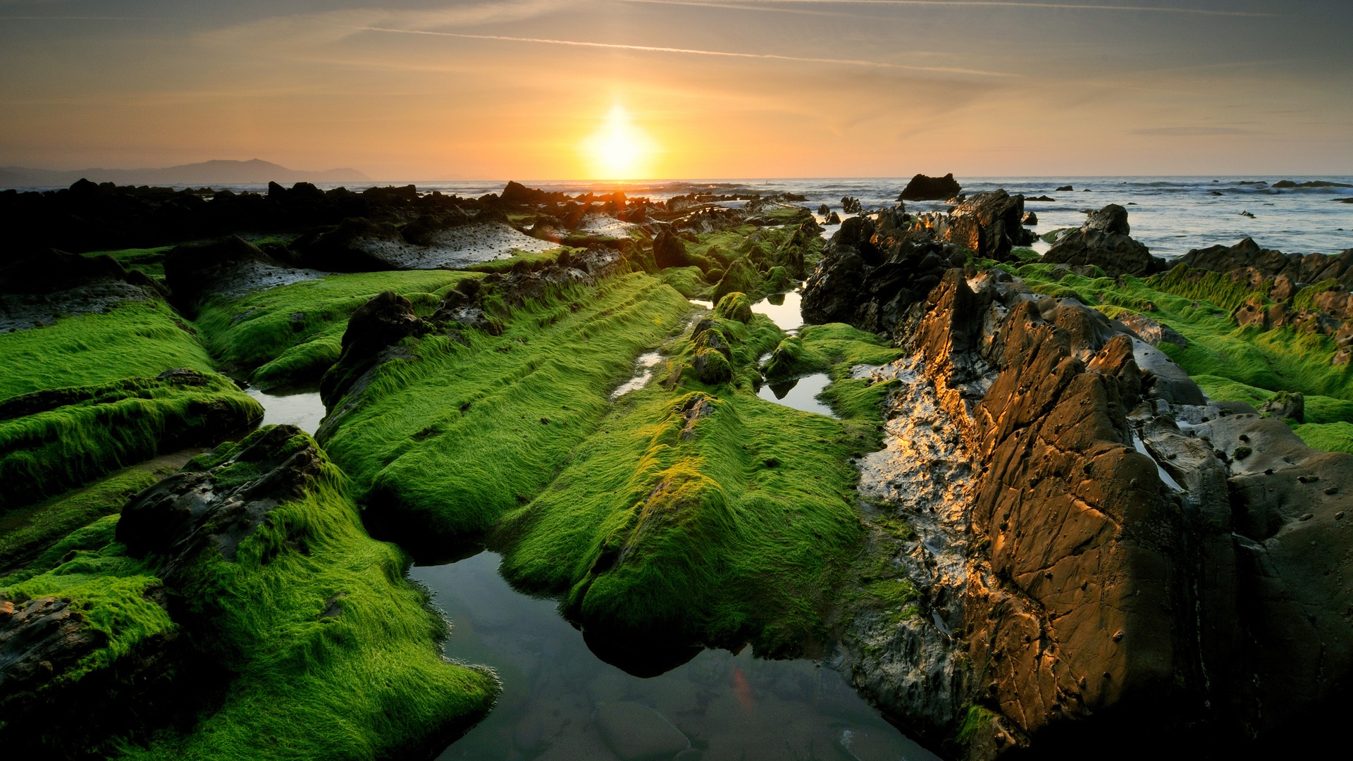 Beautiful Landscape Wallpaper