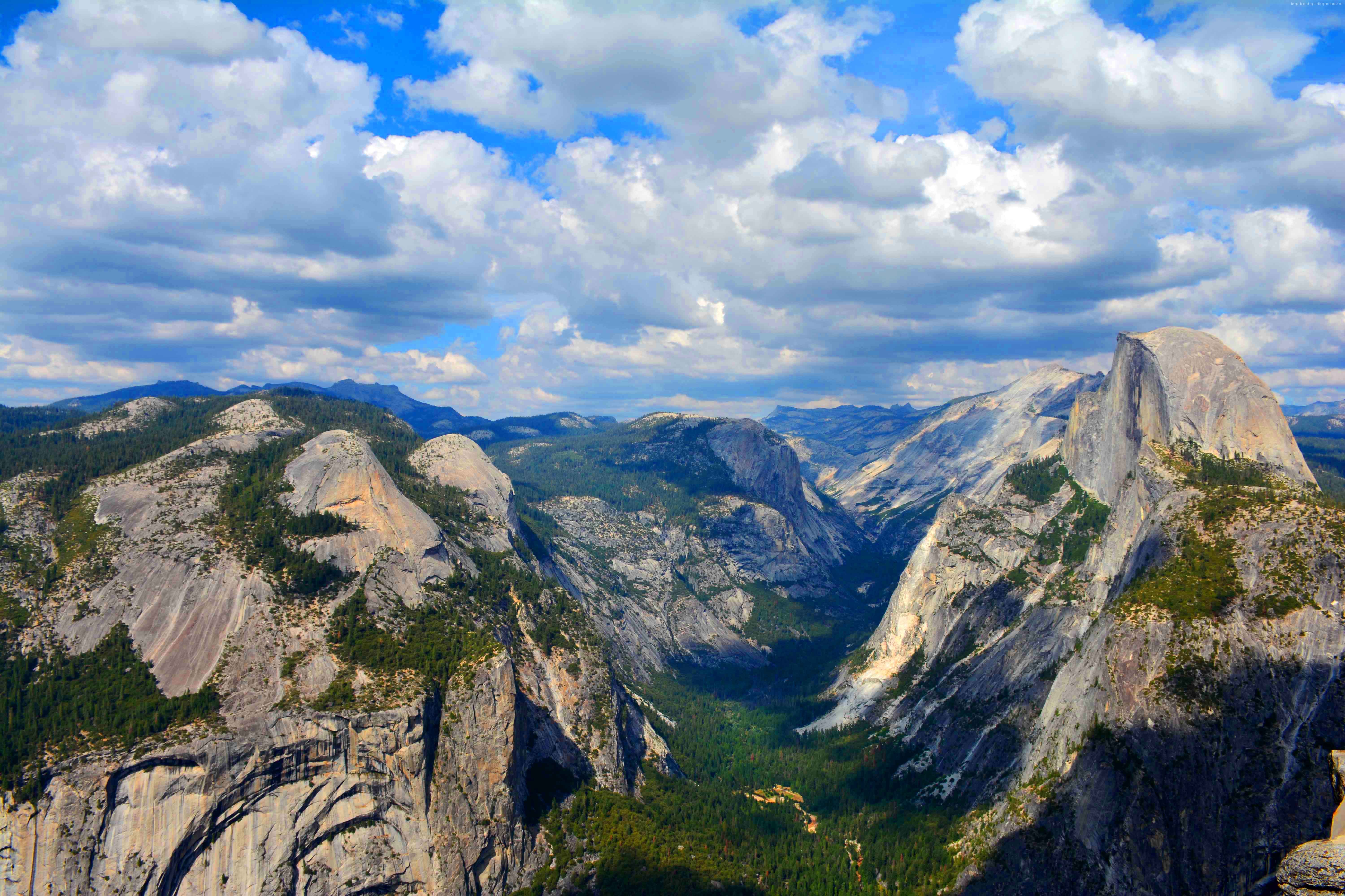 Yosemite Wallpaper Nature Forest 5k