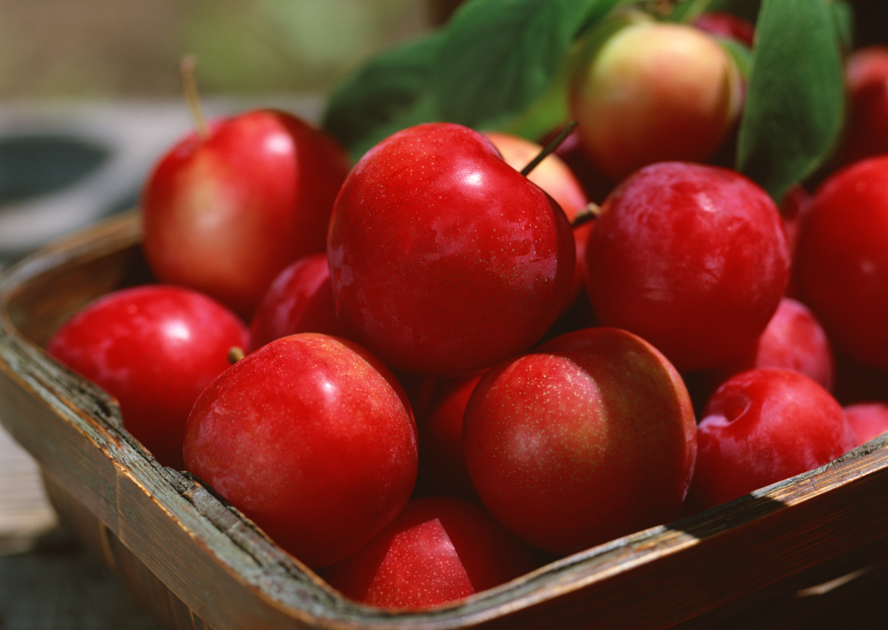 Fruits HD Wallpaper Depot